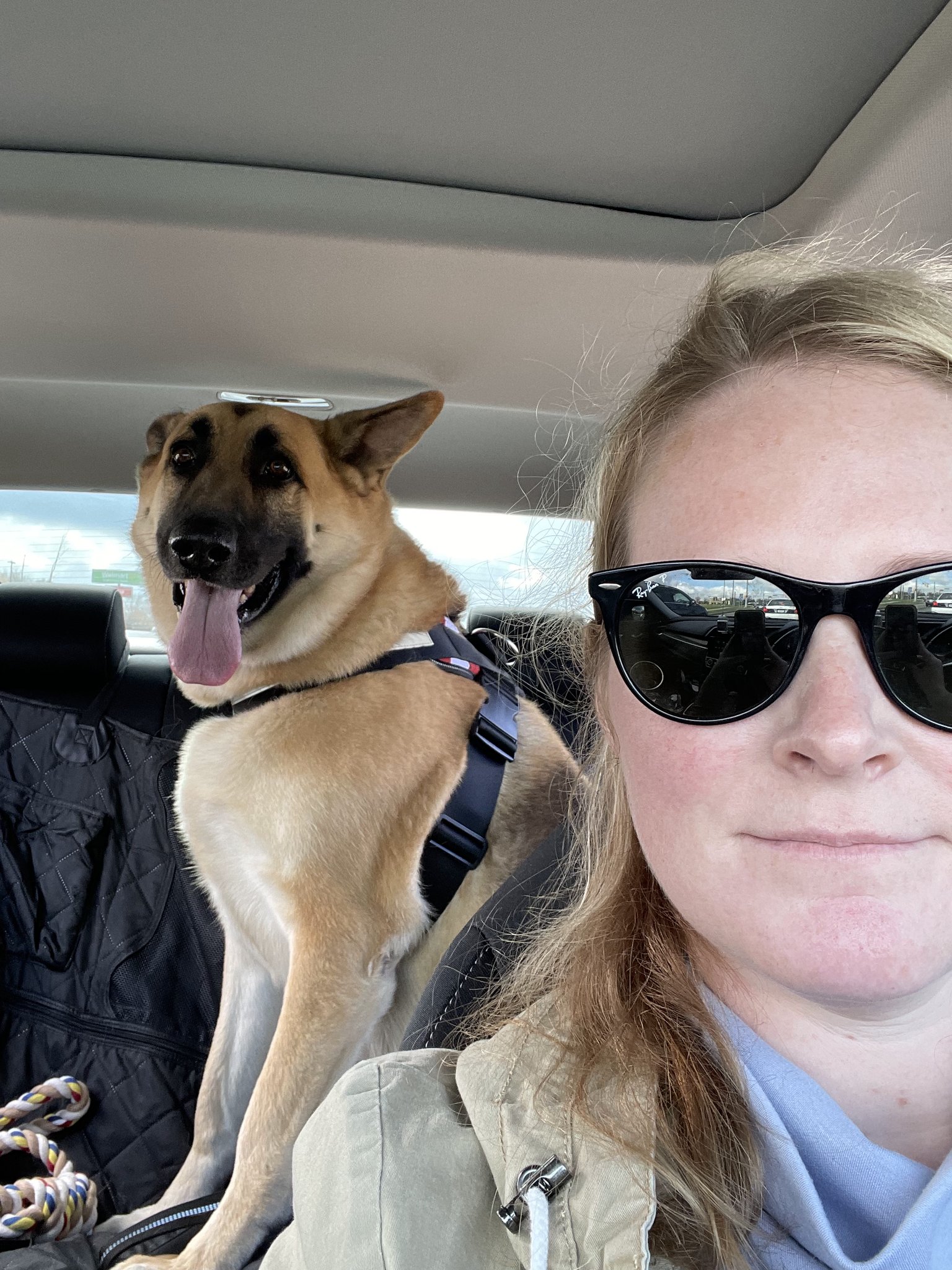 Tommy sitting in the car beside his person